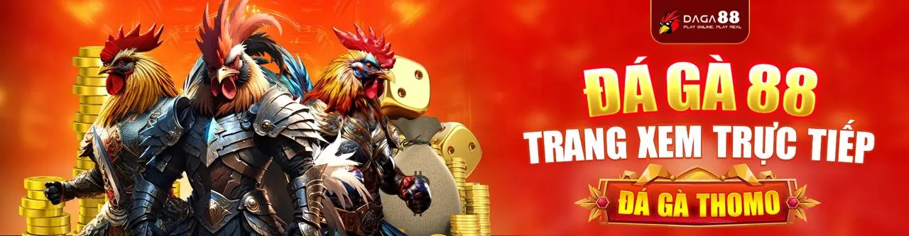 Hình ảnh tổng quan về 77bet win