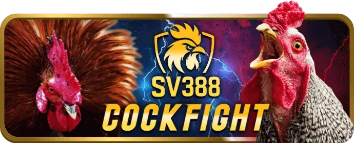 Phân tích ưu đãi mới nhất 77bet win